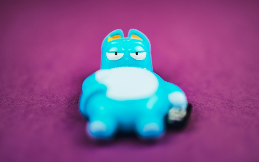 当课堂开始养宠物：一场正在发生的教育机制实验-黑板洞察